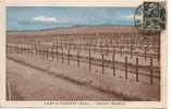 CAMP De SISSONNE, Cimetière Allemand - Sissonne