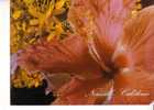Fleurs De NOUVELLE CALEDONIE -  L´Hibiscus - N° 130 - Nouvelle Calédonie
