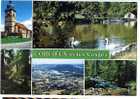 Cpm CORCIEUX Et Les Vosges 5 Vues -lac U Camping - 10 88 029 Yvon - Corcieux