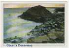 CPM   IRLANDE    GIANT S CAUSEWAY    COUNTY ANTRIM - Antrim