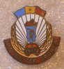 INSTRUCTOR SPORTIV  -  ROMANIA  OLD ENAMEL - EMAIL BADGE ( Old Romanie Sport Badge ) * Athletics - Athletisme - Atletica - Atletica