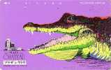 Rare TC  Japon Animal Reptile - CROCODILE - KROKODIL Tier TK - Animals Japan Phonecard - 08 - Crocodiles And Alligators