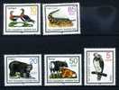 ANIMAL / OURS / VACHE /  RAPACE / CROCODILE / CANARD  / TIMBRE ALLEMAGNE /   D. D. R. - Ours