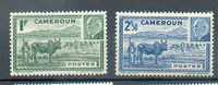 CAM 118 - YT 300-301 ** - Unused Stamps