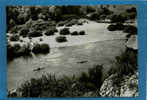 BG 0705 LES GORGES DE L ARDECHE  LE PONT D ARC DESCENTE VERS LES GORGES - Vallon Pont D'Arc