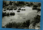 BG 0703 LES GORGES DE L ARDECHE  LE PONT D ARC DESCENTE VERS LES GORGES - Vallon Pont D'Arc