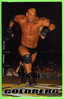 LUTTE - WRESTLING - WCW/NWO- WWE - GOLDBERG - CARD No 1891 - - Worstelen