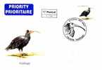 Austria 2006 Cover Northern Bald Ibis + Cache Special First Day (FDC) - Cranes And Other Gruiformes