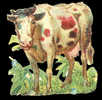 DECOUPI ANCIEN - Vache - DIE-CUT - Animals