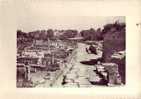 LE GLANUM - Saint-Remy-de-Provence