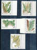 RUSSIA  1987  FLORA SPECIFICA: LE FELCI. SERIE COMPLETA MNH ** - Vegetables