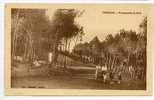 CPA 29.-TREBOUL.-Promenade Au Bois.-animé.-CVB 031 - Tréboul