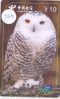 UIL HIBOU Owl EULE Op Telefoonkaart (255) Telecarte - Uilen