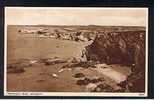 Unused Salmon Postcard Trevelgue Head Newquay Cornwall - Ref A97 - Newquay