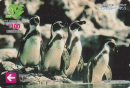 Carte Prépayée JAPON - ANIMAL - OISEAU - MANCHOT De HUMBOLDT - PENGUIN BIRD JAPAN Prepaid Bus Card - PENGUIN - 45 - Pinguïns & Vetganzen