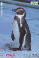 Carte Prépayée Japon - ANIMAL - OISEAU - MANCHOT DU CAP PINGOUIN - PENGUIN Bird Japan Card - PINGUIN Vogel - 62 - Pinguïns & Vetganzen