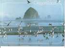 OREGON COAST - Haystack Rock And Seagulls On The Beautiful Oregon Coast - Otros & Sin Clasificación