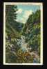 Clarendon Gorge, Killington Section, Long Trail, Green Mountains, Vermont - Sonstige & Ohne Zuordnung