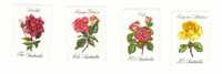 Australie Neuf  Fleurs:  Roses.. - Mint Stamps