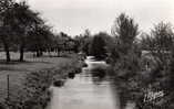 76 Blangy Sur Bresle Le Cour D'eau La BRESLE  La Traversée Des Paturages Et Les Pommiers Edit De Luxe E MIGNON - Blangy-sur-Bresle