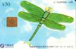 CHINA 30 Y DRAGON FLY INSECT INSECTS  FRONT & BACK  CARTOON CHIP SPECIAL  PRICE !! READ DESCRIPTION !! - Chine