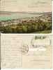 Thalwil Und Die Alpen. Postcard Travelled On 13/07/1911 To Italy. - Thalwil