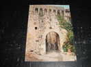 FAYENCE LA PORTE SARRASINE - 83 VAR - CARTE POSTALE DE FRANCE - Fayence