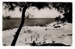 GIRONDE / BASSIN D'ARCACHON / LES ABATILLES / LA PLAGE  ( Match De BEACH-VOLLEY = VOLLEYBALL ) - Volleybal