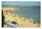 VENDEE  /  LA  TRANCHE-sur-MER  /  VUE  GENERALE  DE  LA  PLAGE   ( 2 Filets De BEACH-VOLLEY = VOLLEYBALL ) - Volleyball