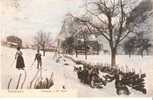 GRINDELWALD . Toboggan - Grindelwald