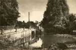 CP 18 MASSAY Le Pont De Saint Paxent Et Le Garreau - Massay