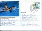 DAUPHIN / ENTIERPOSTAL ALLEMAGNE / STATIONERY GERMANY / ZOO DUISBURG - Sonstige & Ohne Zuordnung