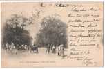 CPA France 75017.Paris-Bois De Boulogne-Allée Des Accacias - Distrito: 17