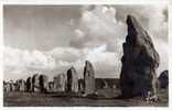 Carte Photo Semi Moderne Carnac    Alignements De Ker Menec - Dolmen & Menhirs