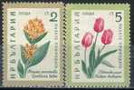 PIA - BULG - 1960 : Flore : Fleurs - (Mi 1164-69) - Nuevos