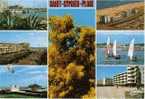 Saint Cyprien -  Carte Envoyée Le 26 08 1977 - Saint Cyprien