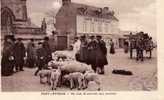 Un Coin Du Marché Aux Mouton - Pont-l'Evèque