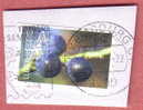 Vatur Musee  ( Luxembourg Stamp On Paper ) - Autres & Non Classés