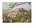 CM---81----Cordes ----VILLE FORTIFIEE - Cordes