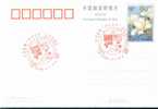 China Table Tennis Tennis Tavolo  Comm 35th Anniv Of China-US Ping Pong Diplomacy Postmark  , Postal Stationery - Tenis De Mesa