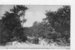 17 LE TRAMWAY DE PONTAILLAC A SAINT PALAIS DANS LES DUNES - Pont-l'Abbé-d'Arnoult