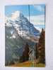 Grindelwald  Firstbahn -Eiger   BE- CH 1960´s VF  D21291 - Grindelwald