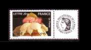 2005 N 3805a Neuf** C'est Un Garçon Vignette Cérès - Unused Stamps