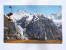 Grindelwald  FIrstbahn Mit  Schreckhorn  BE- CH 1960´s VF  D21307 - Grindelwald