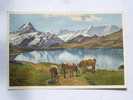 Grindelwald  Bachsee Am Faulhorn   BE- CH 1930-40´s VF  D21315 - Grindelwald