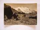 WENGEN - Jungfrau    BE- CH 1940´s   D21332 - Wengen