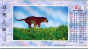 Tiger . Pre-stamped Card , Postal Stationery - Rhinozerosse
