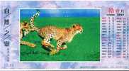 Rare Animal Species, Leopard  ,  Pre-stamped Card, Postal Statieonery - Rinocerontes