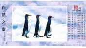 Rare Animal Species, Pinguins ,  Pre-stamped Card, Postal Statieonery - Pinguini