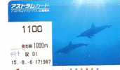 DOLPHIN DAUPHIN Dolfijn DELPHIN Tier Animal (497) - Dolphins